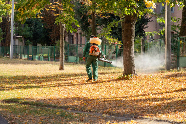 Best Termite Control Services  in Hargill, TX